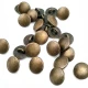 10 mm Shank Button front and detail view