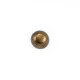 12 mm Shank Button front and detail view