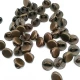 7.5 mm Shank Button front and detail view