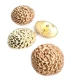 30 mm - 47 length Patterned Curved Footed Button