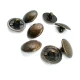 18 mm Shank Button front and detail view