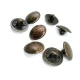 18 mm Shank Button front and detail view